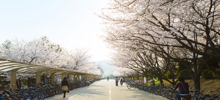 봄1