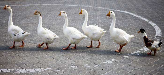 봄3